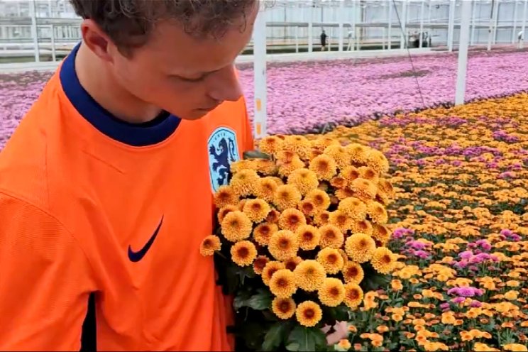 Steun voor Oranje!