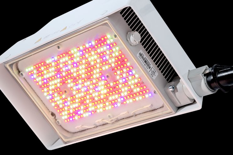 Climalux introduceert nieuwe full-led groeilamp