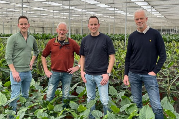 Persoon Potplanten gaat op in Plantanious