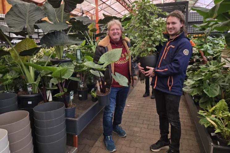 'Kerstboom eruit, kamerplant erin'