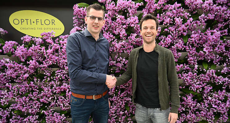 Opti-flor krijgt een geheel nieuwe ErfGoedVloer 