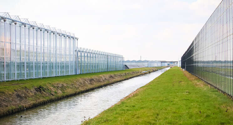 Gietwater en gezonde planten essentieel