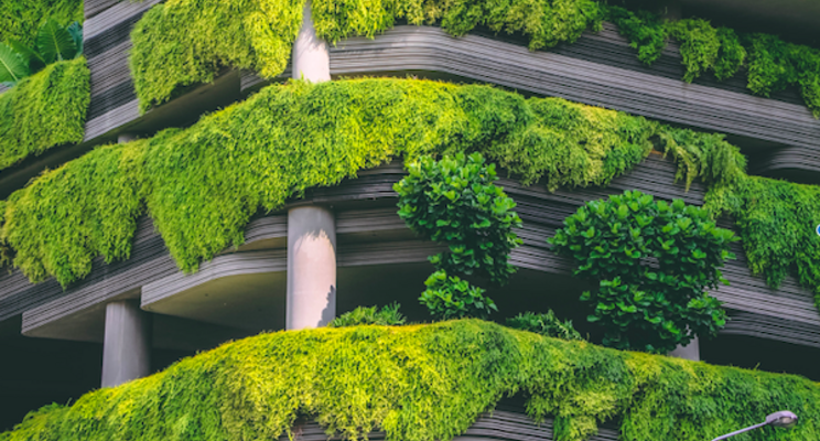 Vertical Farming Wednesday... Farmscrapers de toekomst?