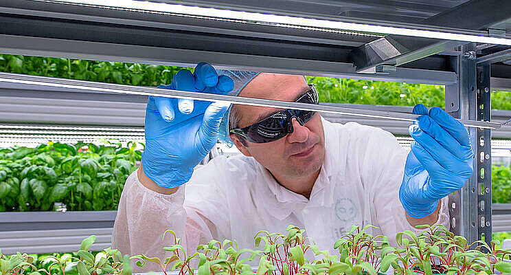 Vertical Farming Wednesday...  Aardbeien in Quebec