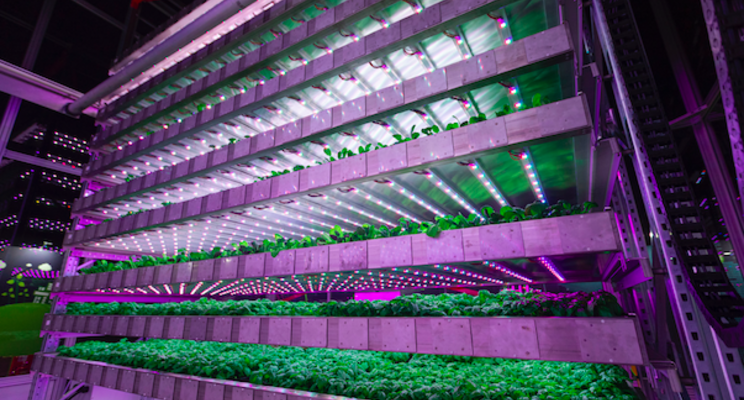 Vertical Farming Wednesday... Schotse technieken