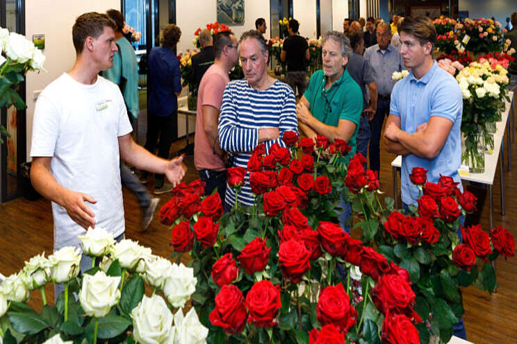 Kopers Plantion spreken Nederlandse rozentelers