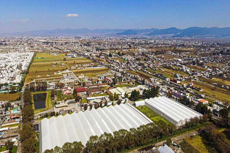 Ridder en Itolsa helpen CIMMYT in Mexico