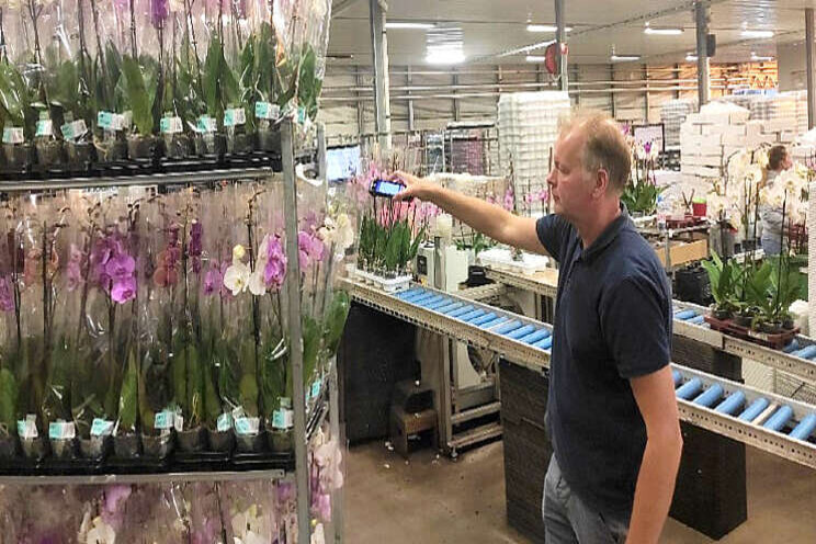 Orders inpakken is feestje bij Wooning Orchids