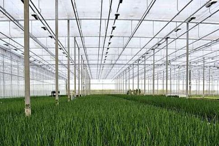 Gratis webinar Autonomous Greenhouse