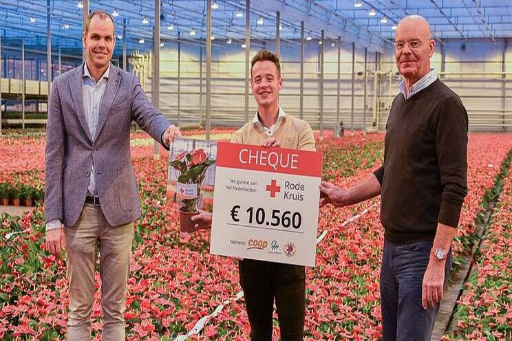 Houwenplant en Coop steunen corona-aanpak Rode Kruis