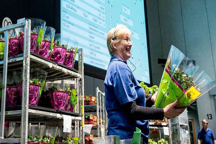 Royal FloraHolland bezorgd over nieuwe lockdown